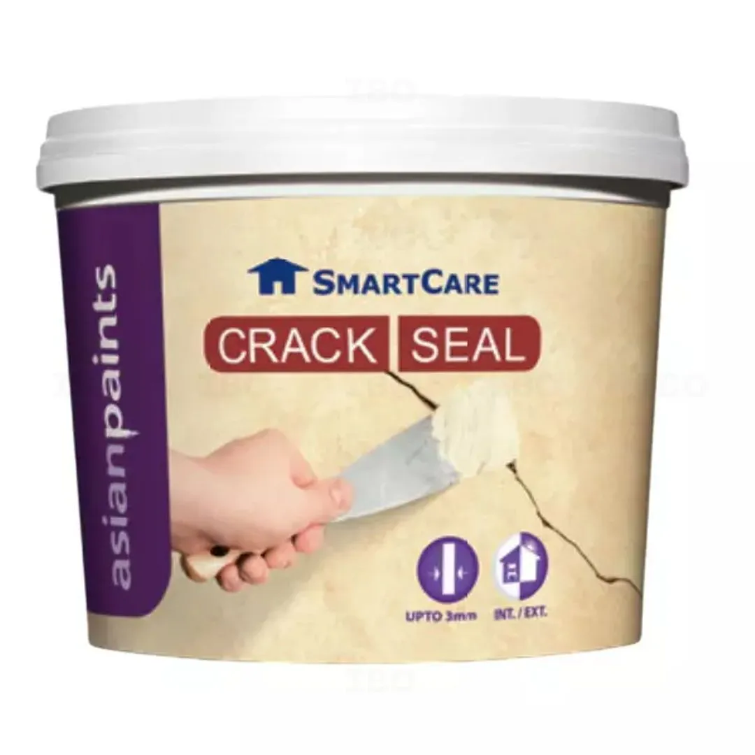 Asian Paints Smart Care Crack Seal Paste White 360 g