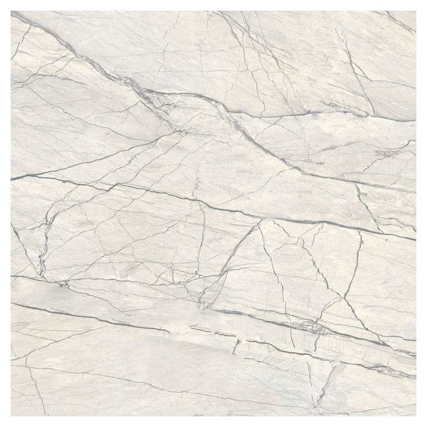 RAK Ceramics Platina Grey Glossy 600 mm x 600 mm GVT Tile