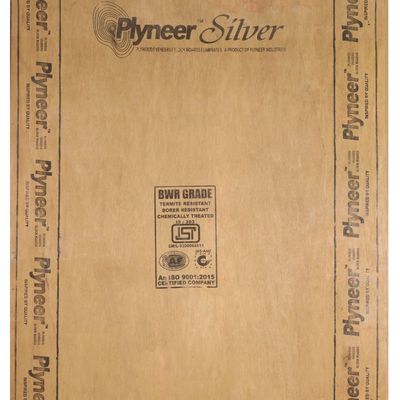 Plyneer Silver 8 ft. x 4 ft. 25 mm BWR Plywood