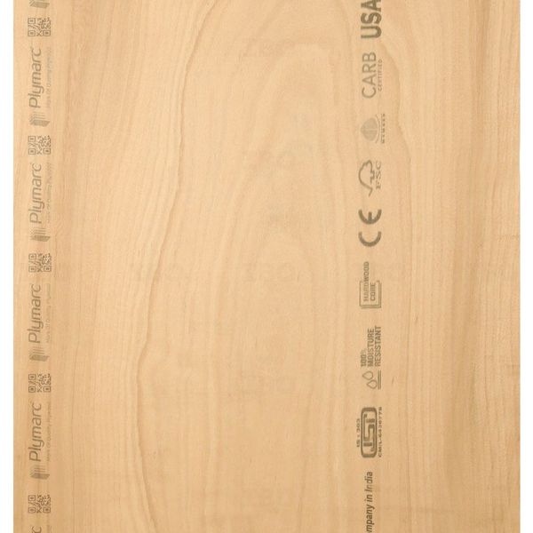Plymarc Delco Plus 8 ft. x 4 ft. 18 mm MR Plywood