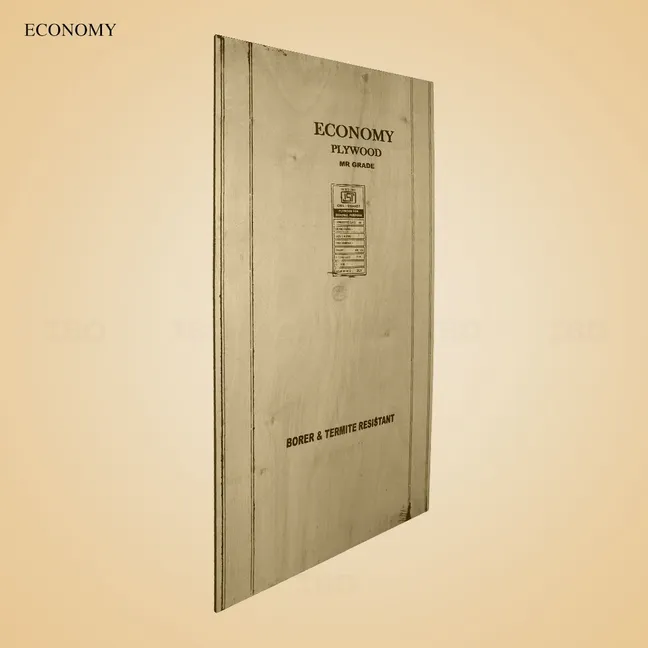 Economy 8 ft. x 4 ft. 18 mm MR Plywood