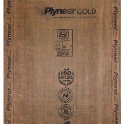 Plyneer Gold 8 ft. x 4 ft. 25 mm MR Blockboards