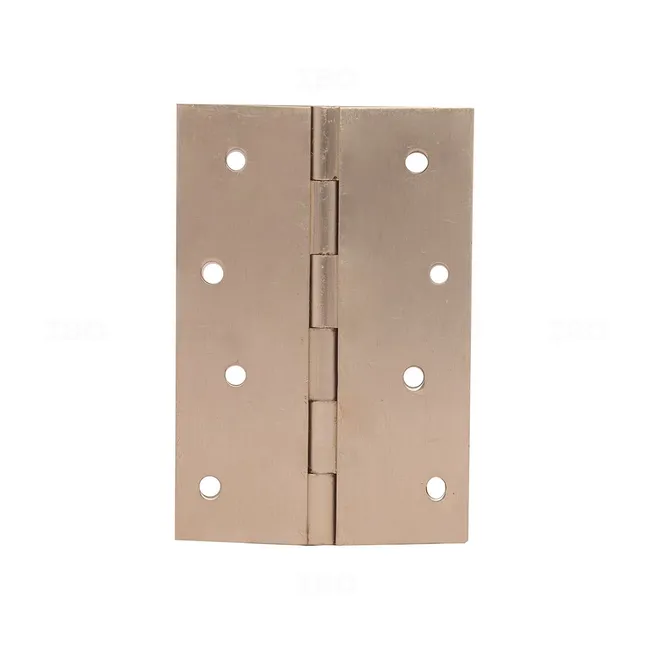 NRS RLWY SS Matte 3 in. x 12 mm Stainless Steel Railway Hinge