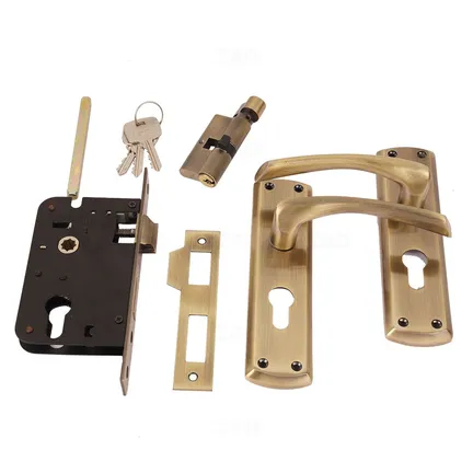 Godrej 5534  Antique Mortise on Plate Set (CY Type)