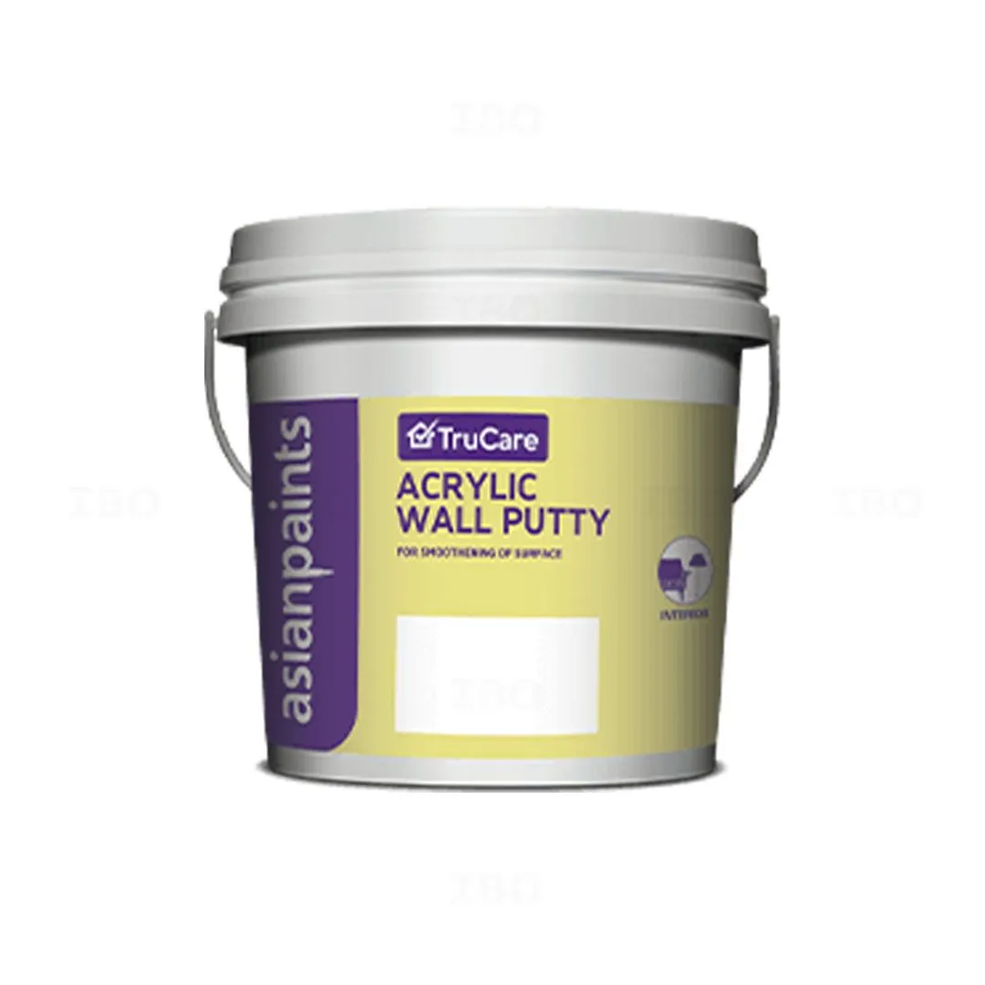 Asian Paints Acrylic White 1 kg Putty