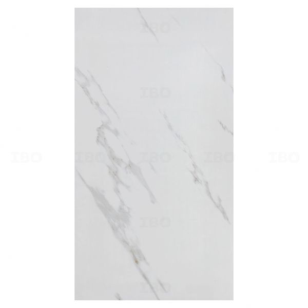 Shreeji Bianco Stone Glossy 1200 mm x 600 mm GVT Tile