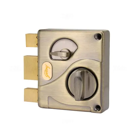 Godrej 2663 SS Matte Mortise on Plate
