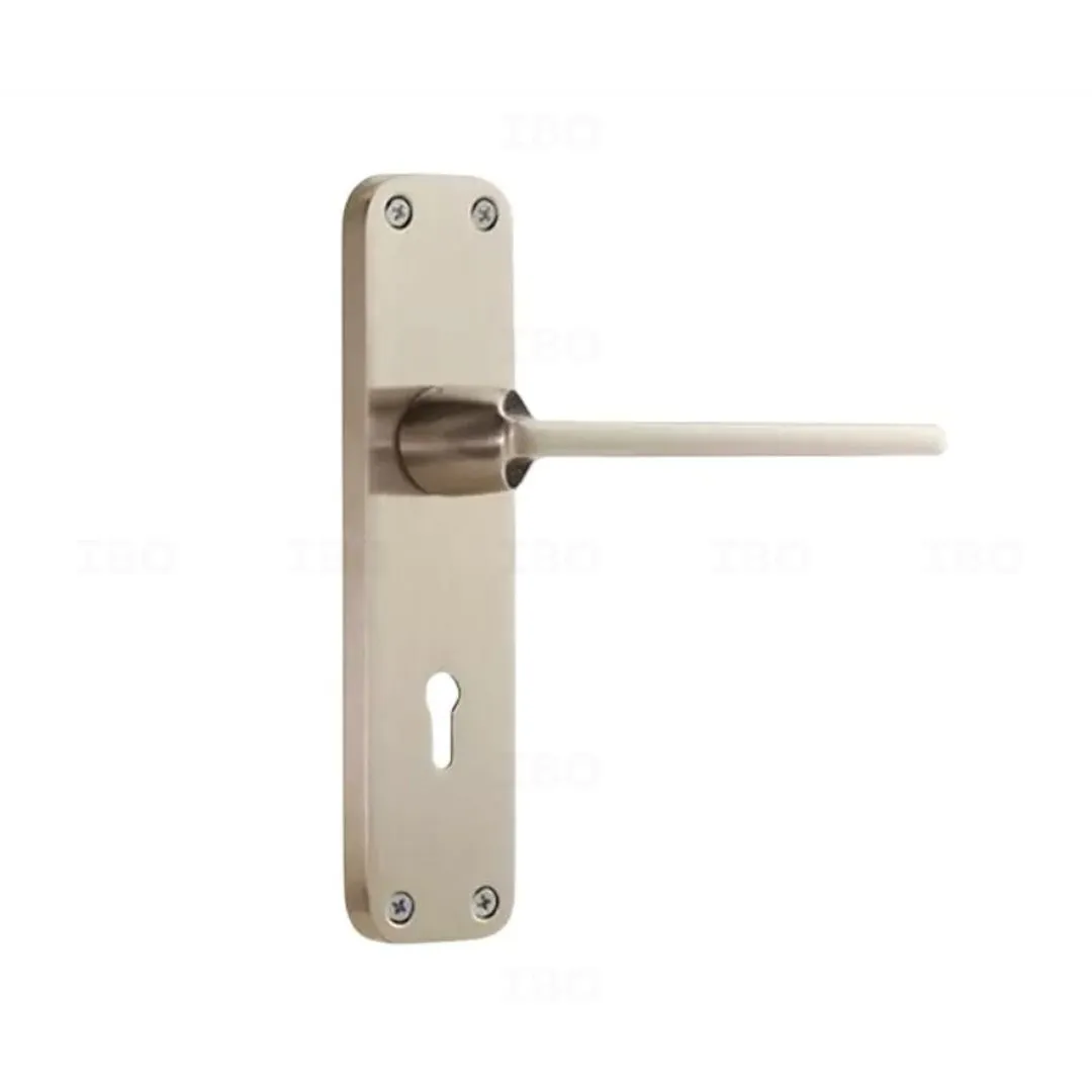 Godrej 6329 SS Matte Mortise on Plate