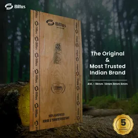 BILTUS 8 ft. x 4 ft. 18 mm MR Plywood